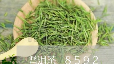 普洱茶 8592/2023031727280